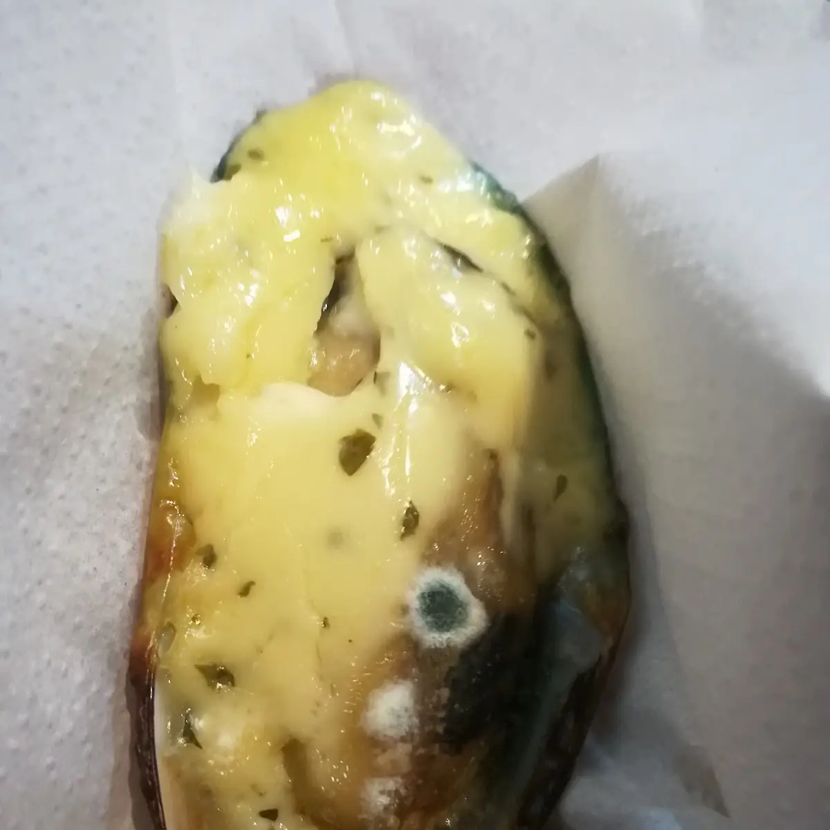 Oysters on the Half Shell with Mole