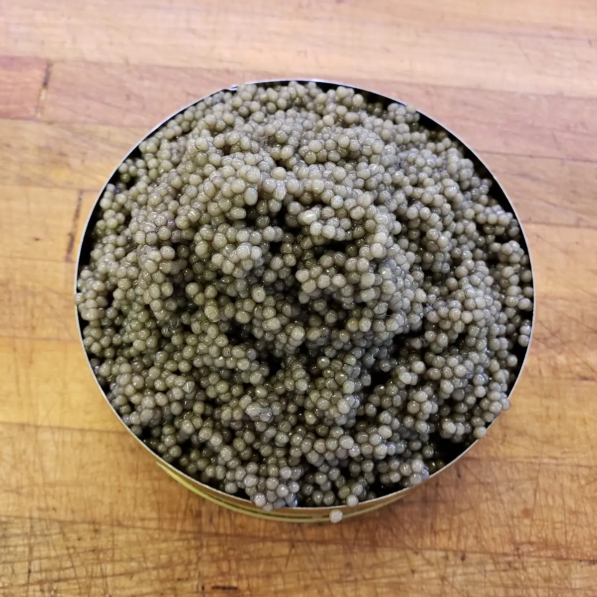 Poppy Seed