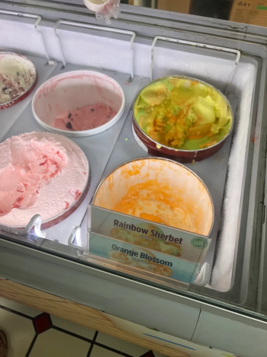 Dairy Free Sorbet