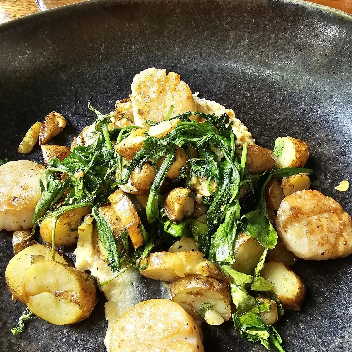 Pan Seared Scallops