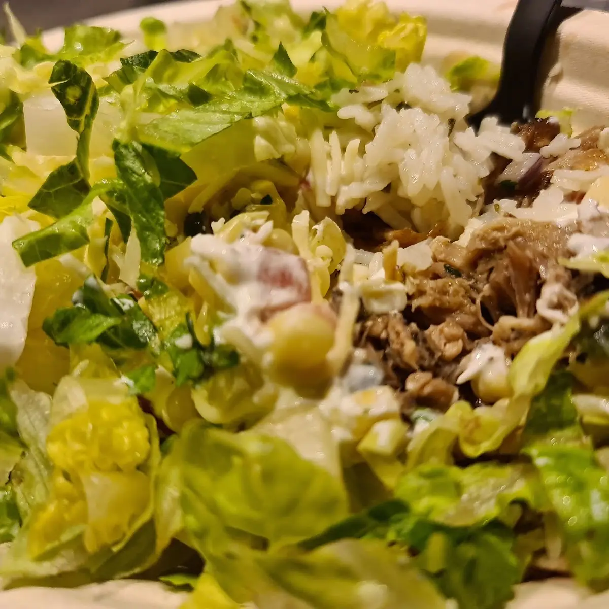 Guacamole Carnitas Rice Bowl