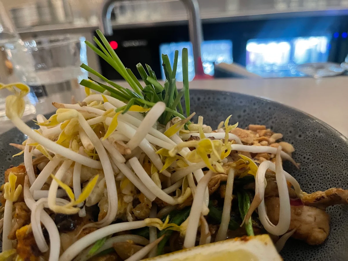 Chicken Pad Thai