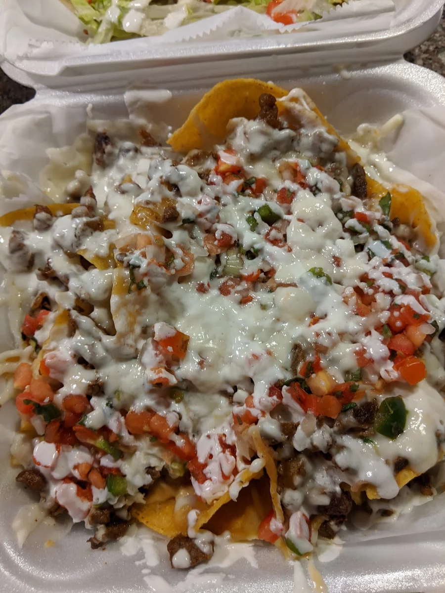 Carne Asada Fries