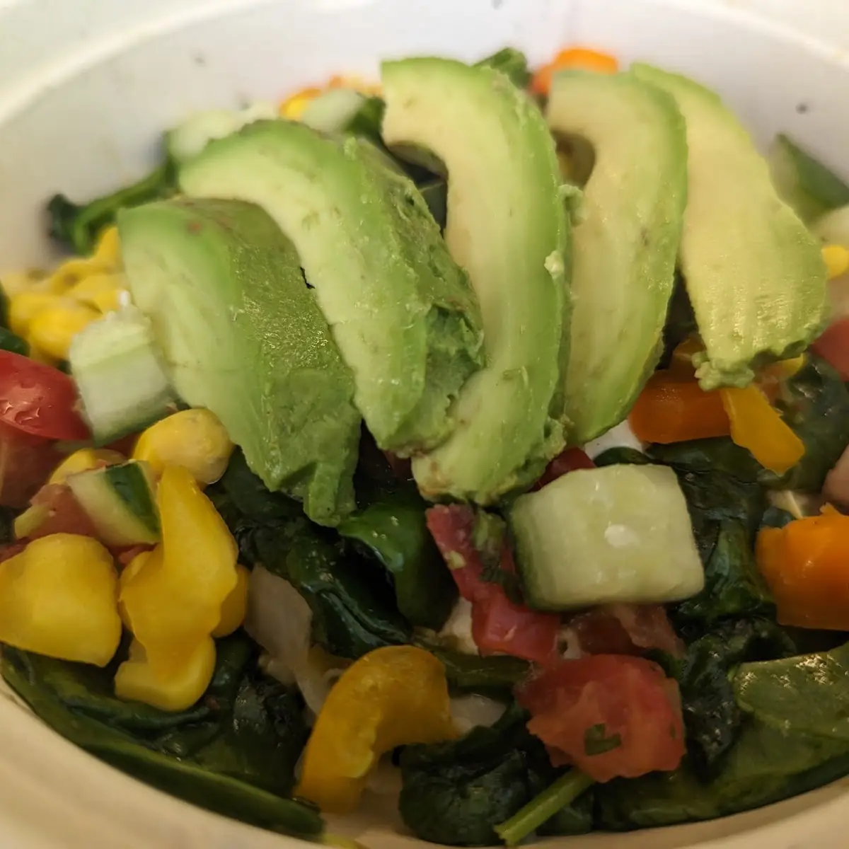 Avocado Salad
