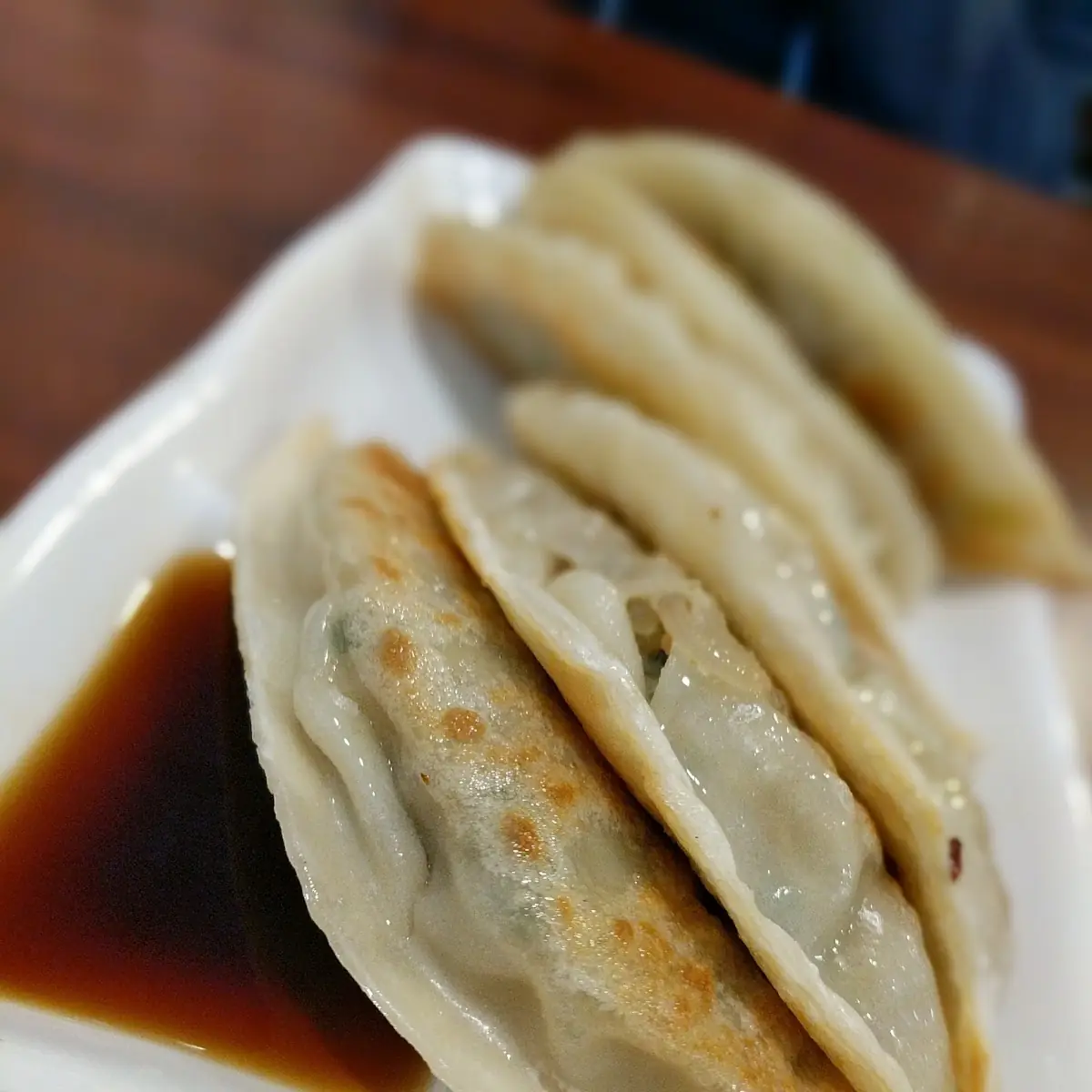 Fried Dumpling Appetizer