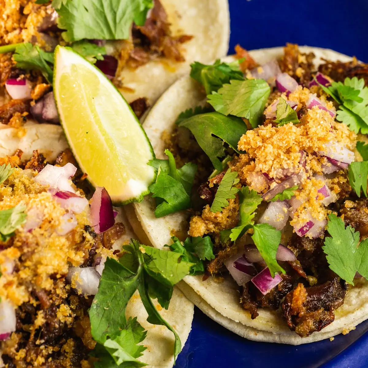 Carnitas Tacos