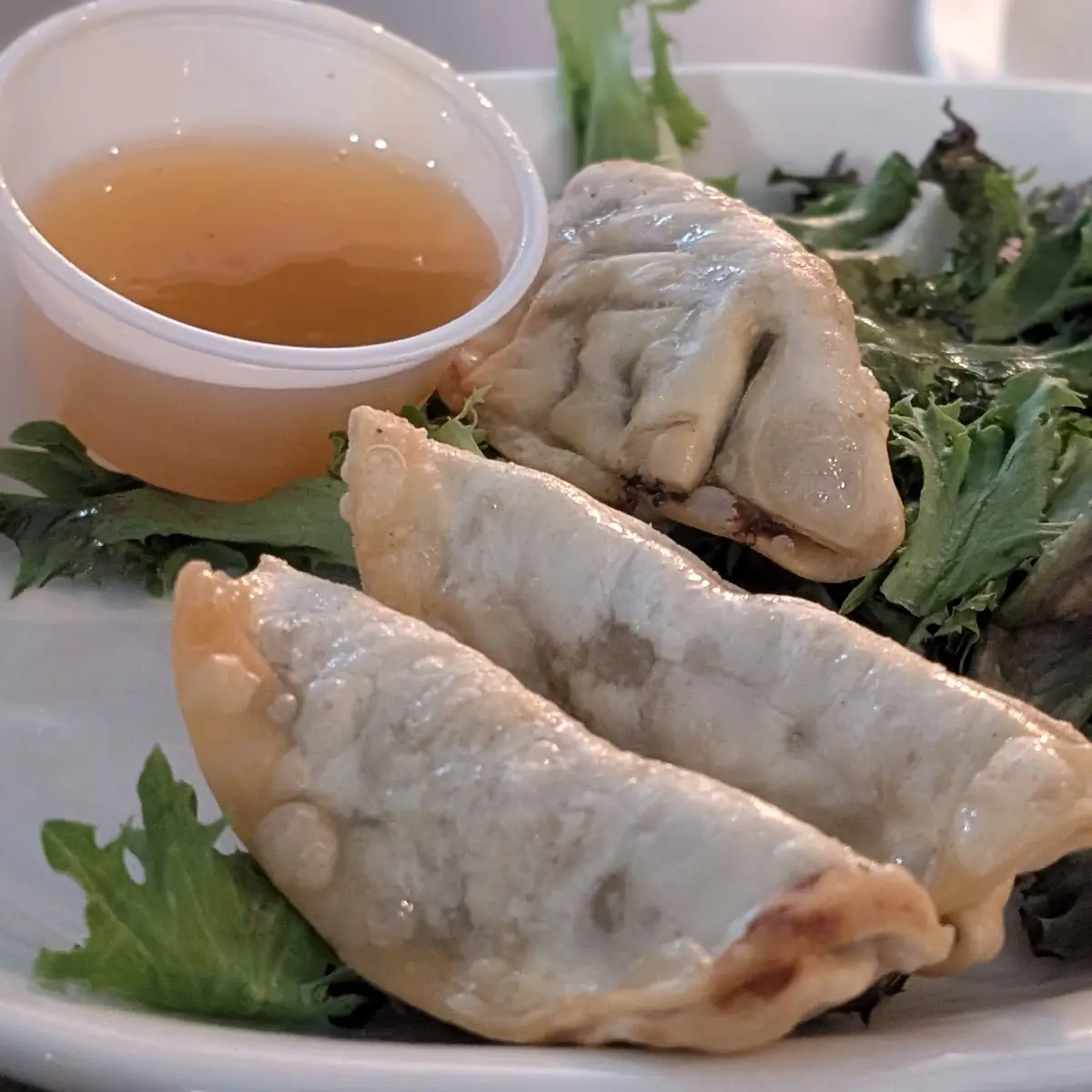 Spring Roll