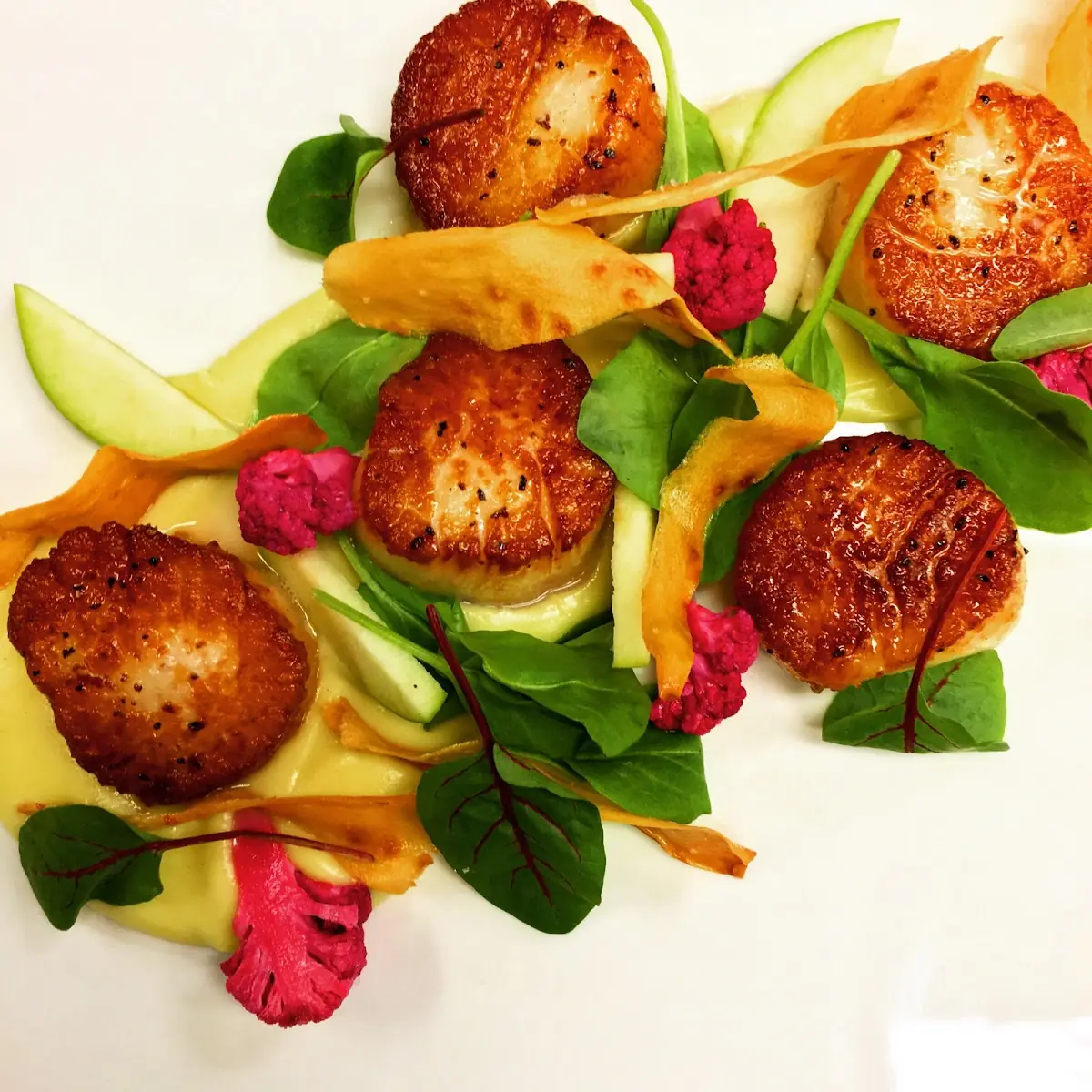 Seared East Coast Scallops