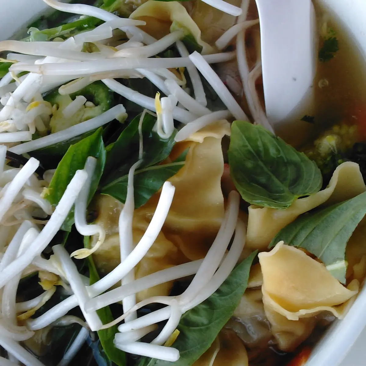 Wonton Soup