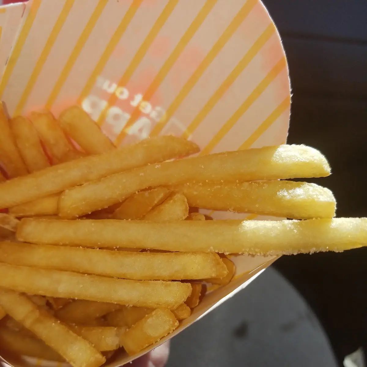 World Famous Fries