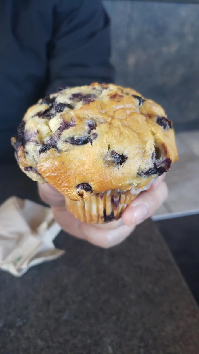 Blueberry Muffin, Village Eatery
