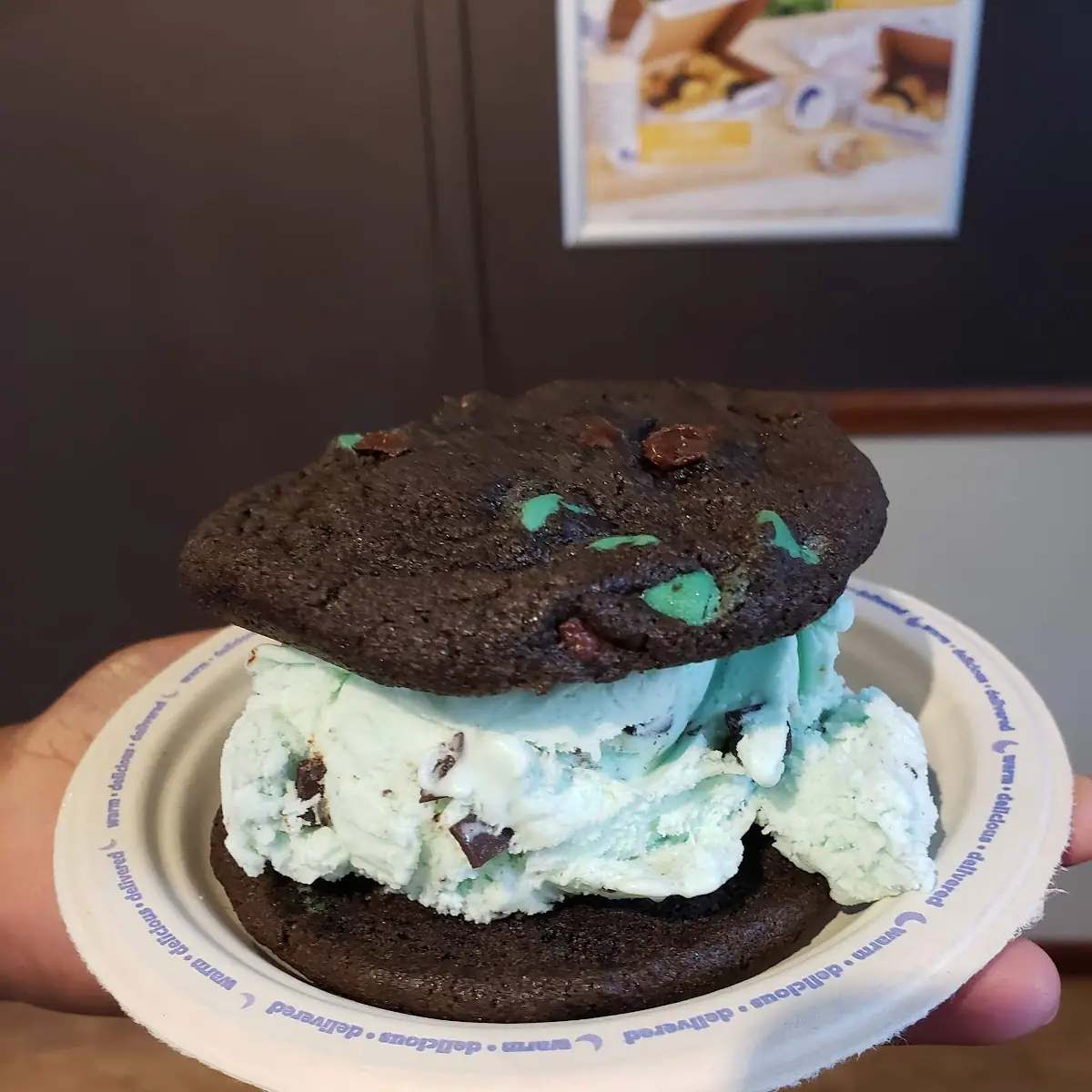 Mint Chocolate Ice Cream