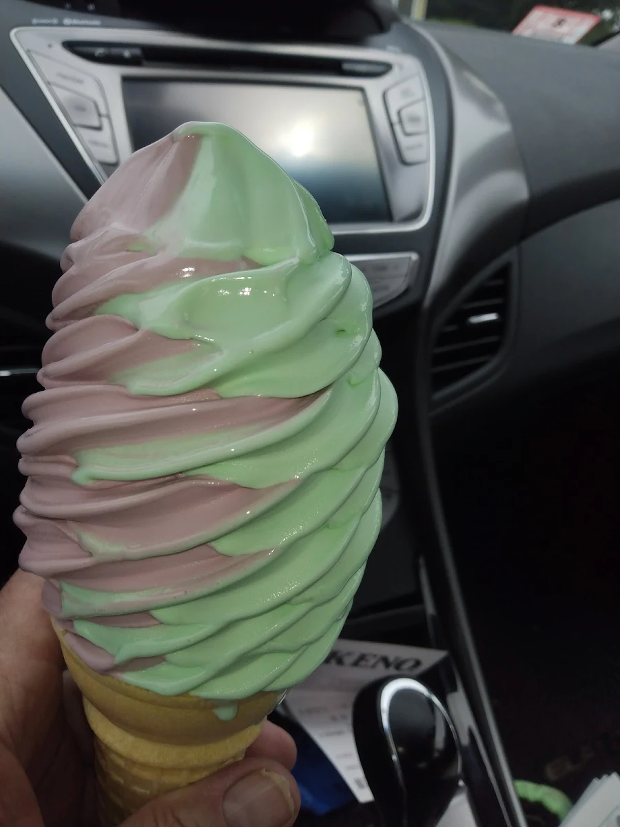 Black Raspberry - Pistachio Ice Cream Cone