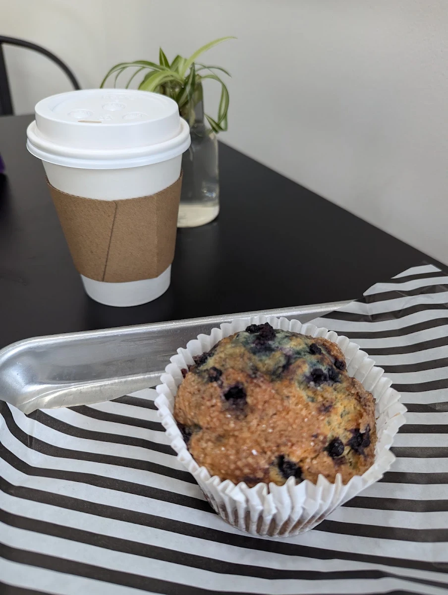 Blueberry Muffin