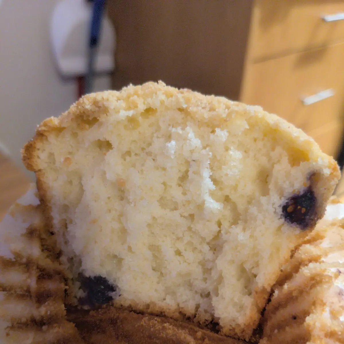 Blueberry Muffin