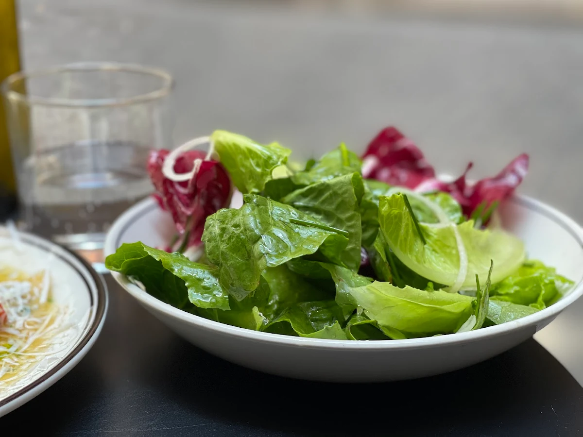 Leaf Salad, Ragazzi