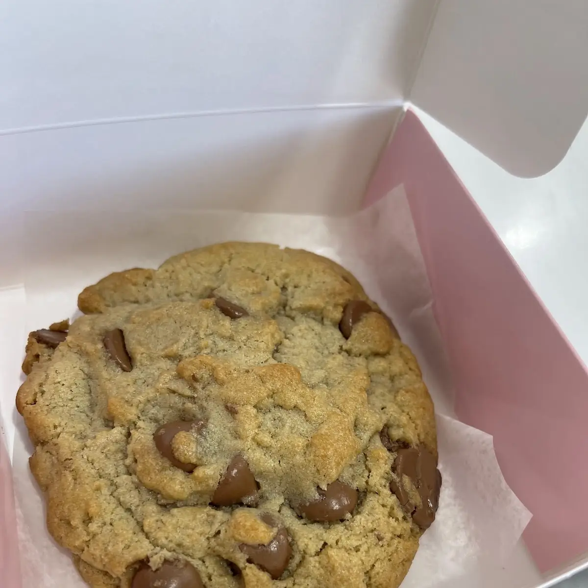 Chocolate Chip Cookie