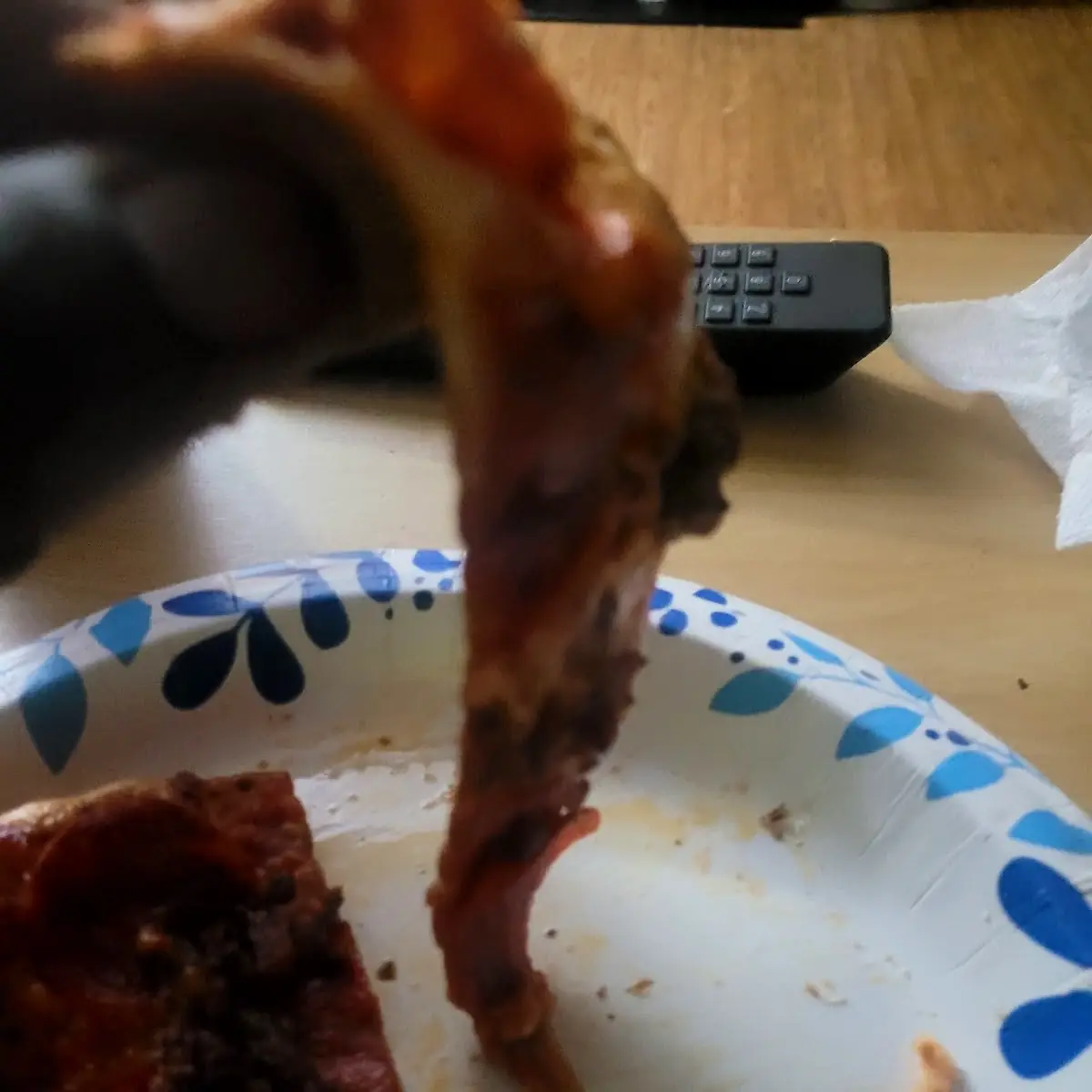 Flimsy Slice of Pizza