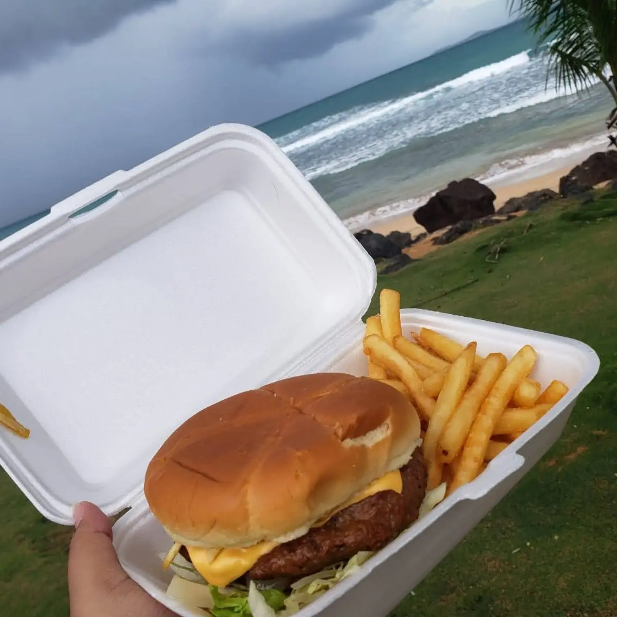 Handmade Burger and Fries