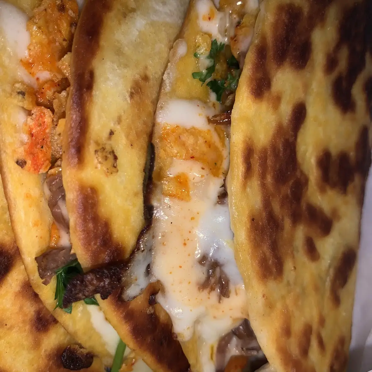 Carne Asada Quesadilla