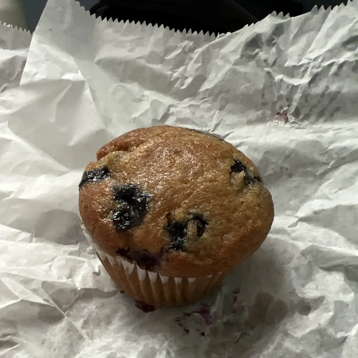 Blueberry Muffin 2 pcs