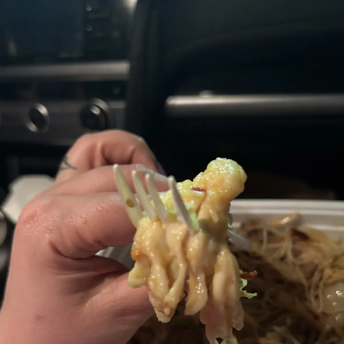 Noodle Chicken Beef or Shrimp Only Pick One