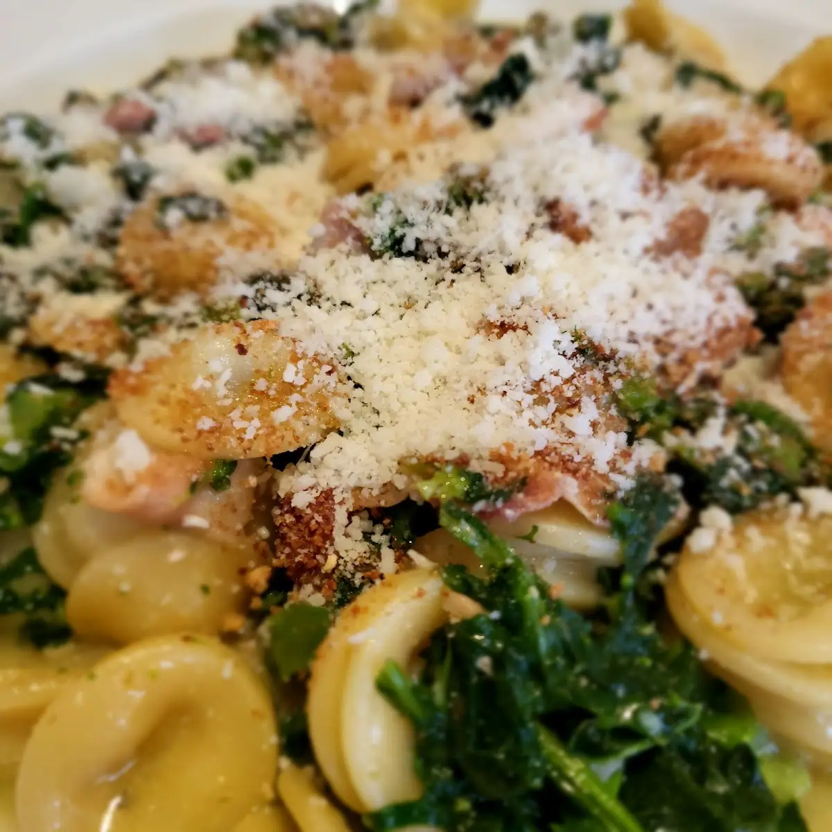 Orecchiette Con Cime Di Rapa E Salsiccia Fresca