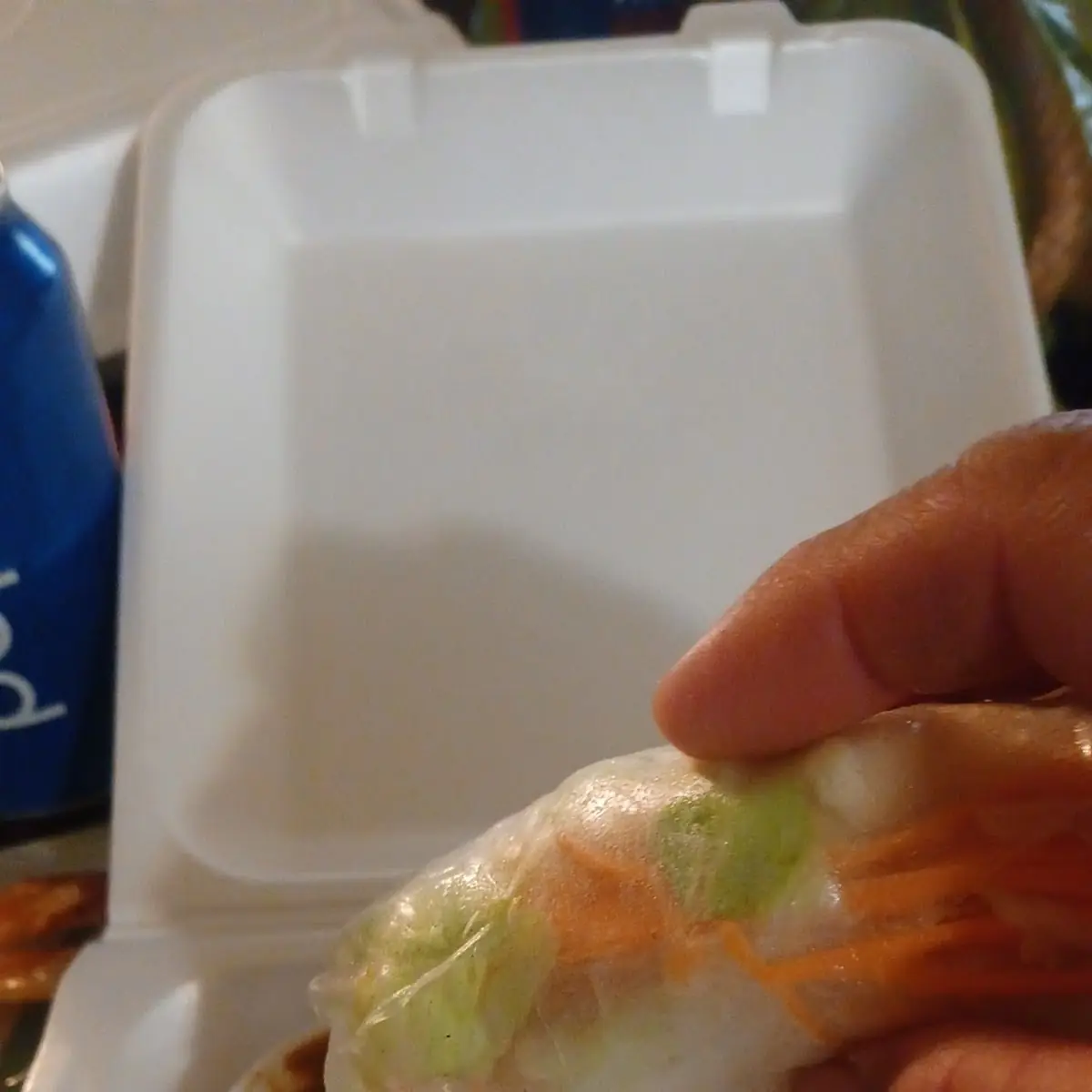 Spring Roll