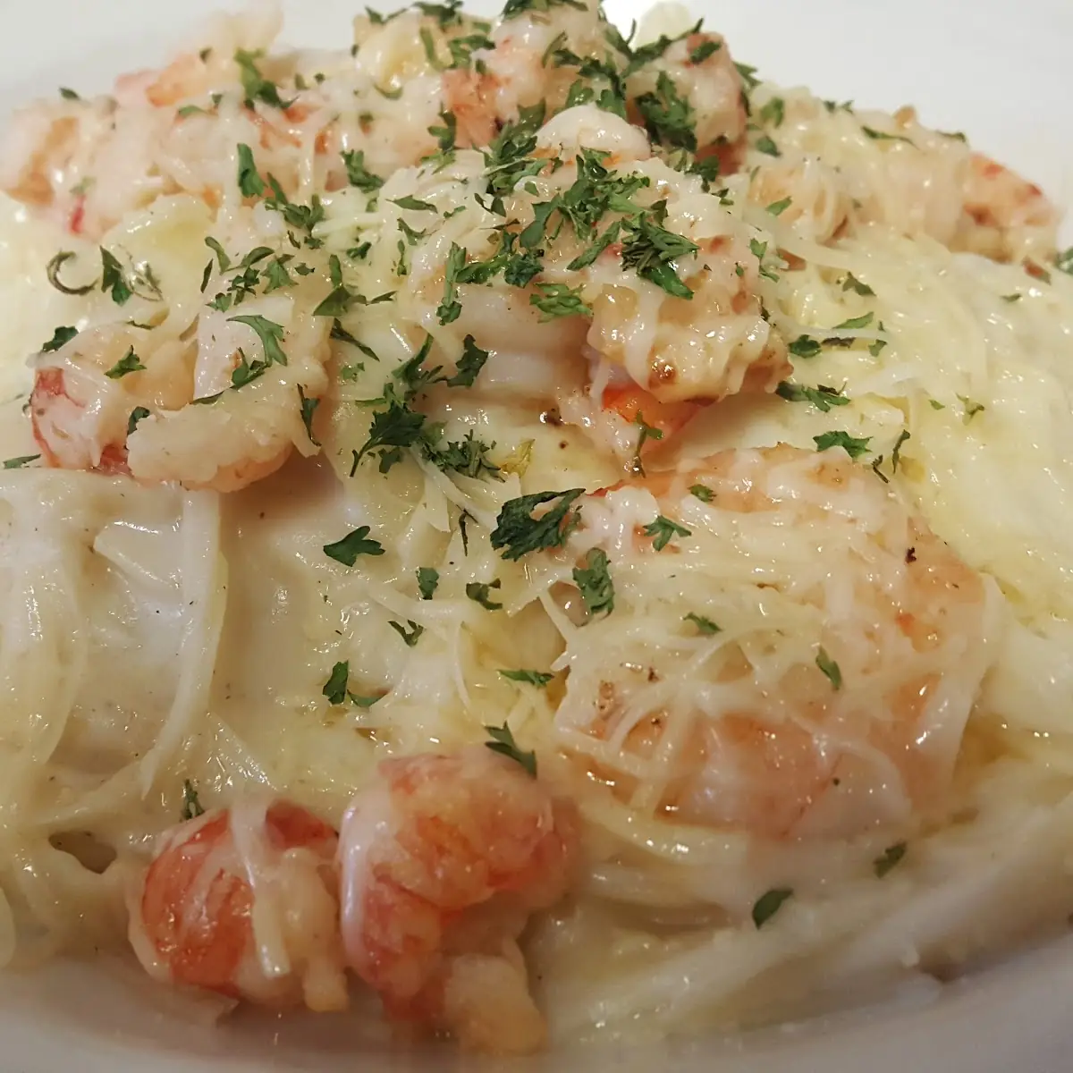 Shrimp Alfredo