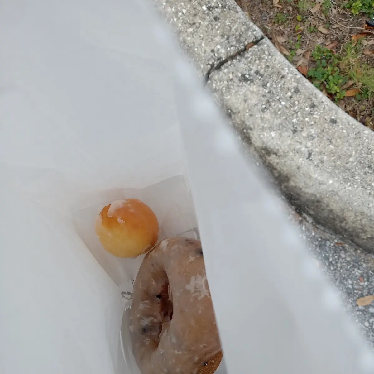 Free Donut Hole
