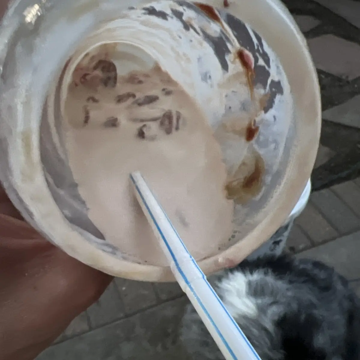 Banana Split Concrete