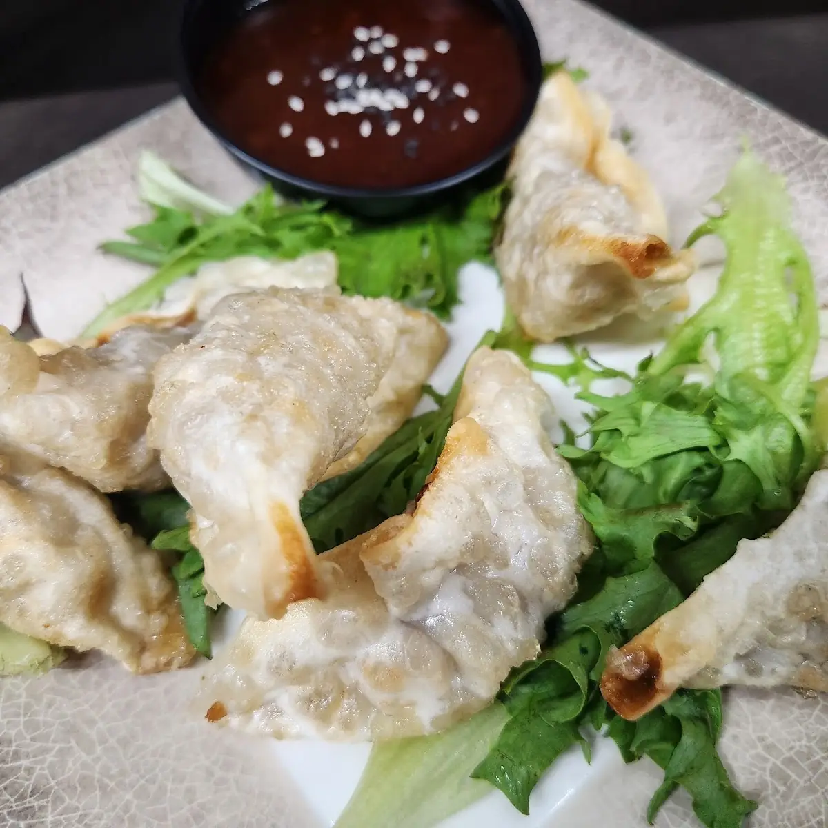 Pork Pot Stickers