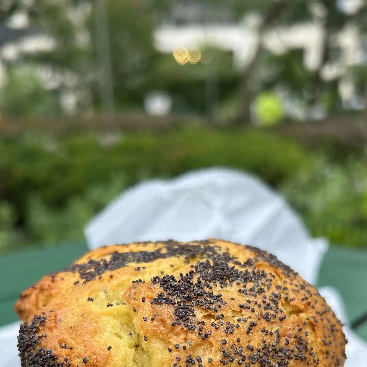 Low Fat Muffins