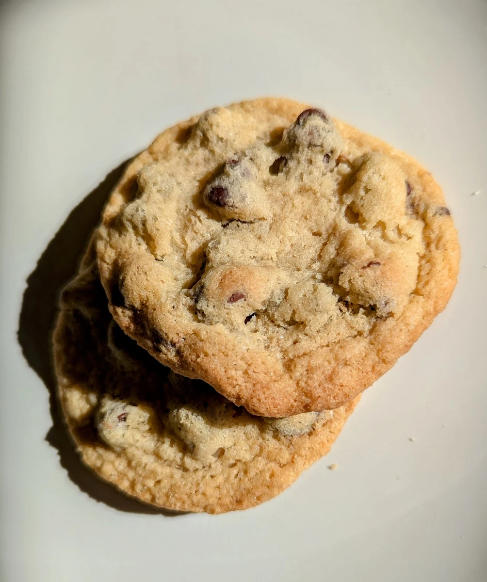 Chocolate Chip Cookie