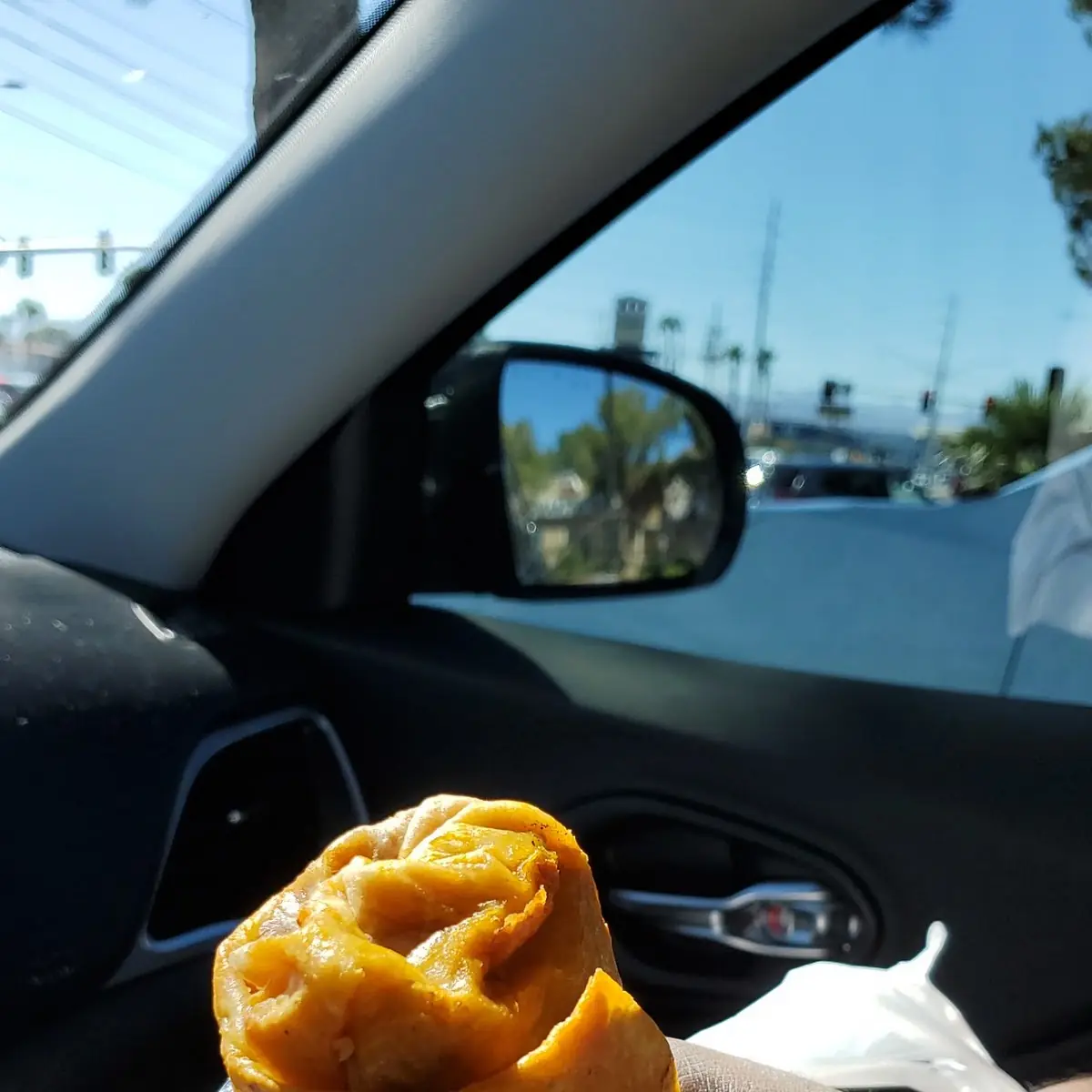 Birria Burrito