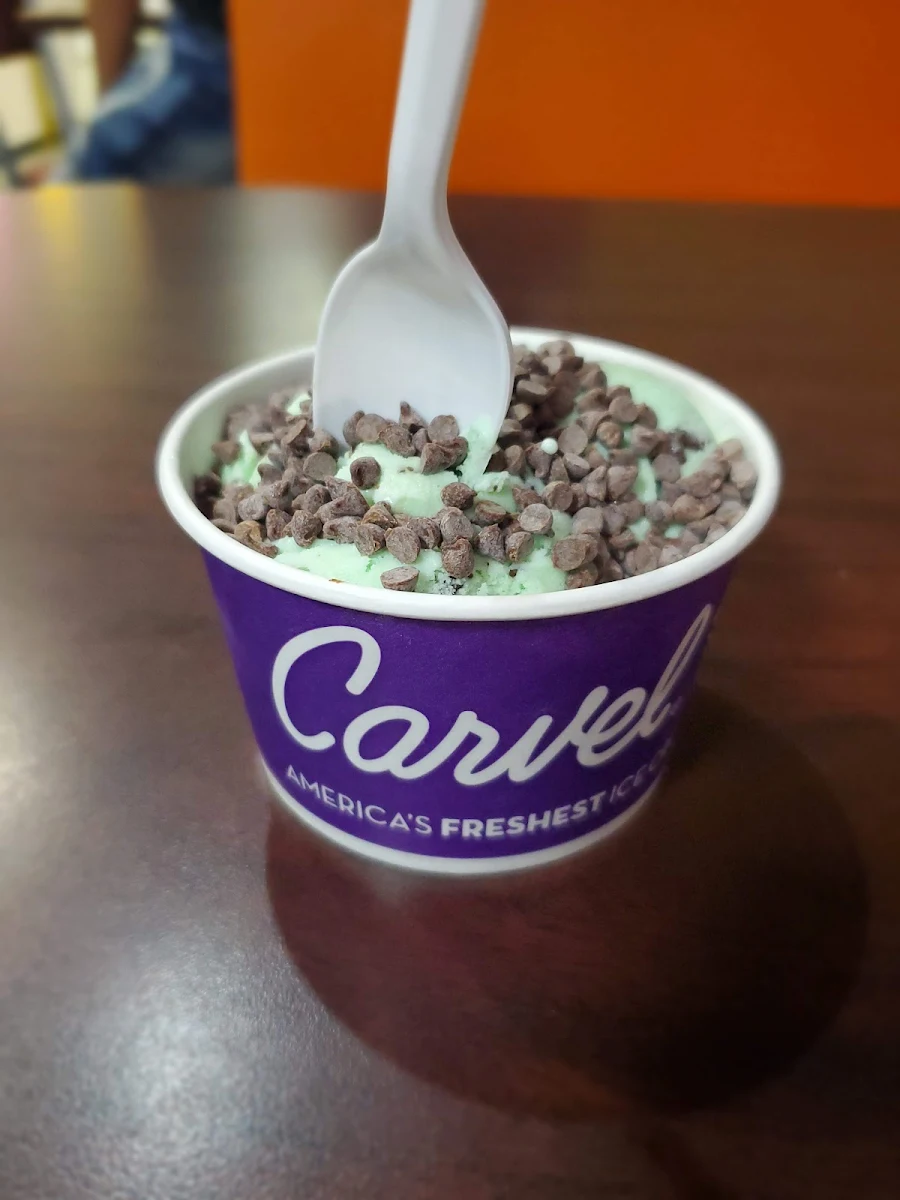 Mint Chocolate Ice Cream
