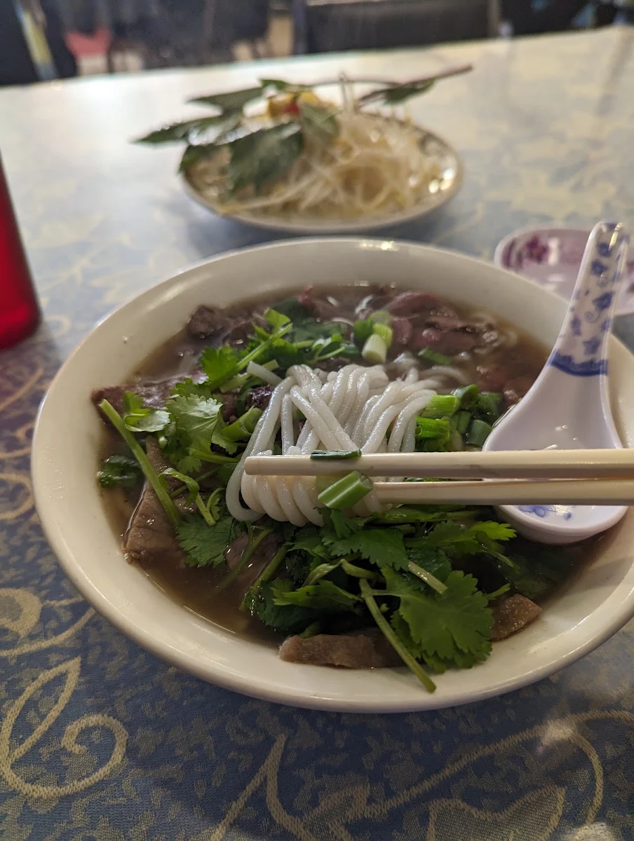 Beef Stew Noodle Soup
