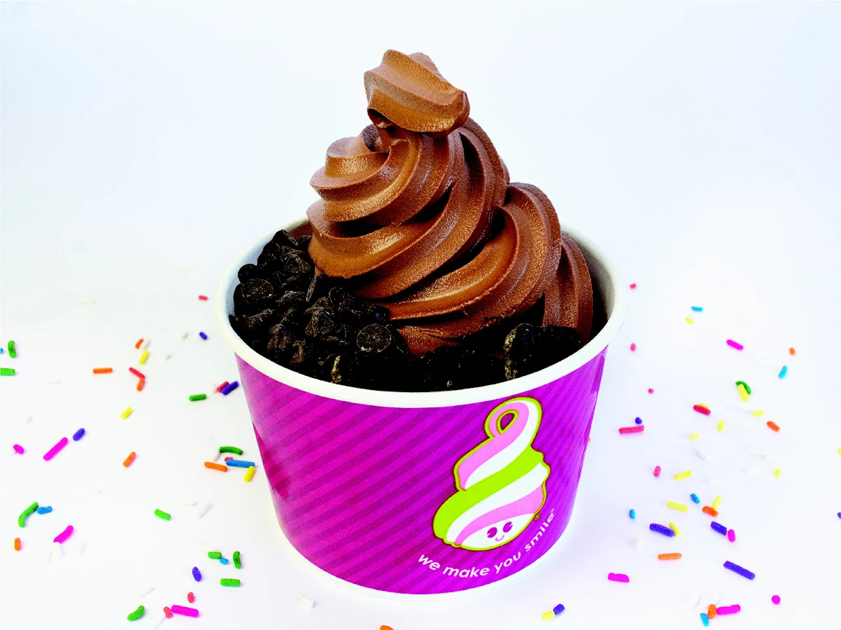Frozen Yogurt