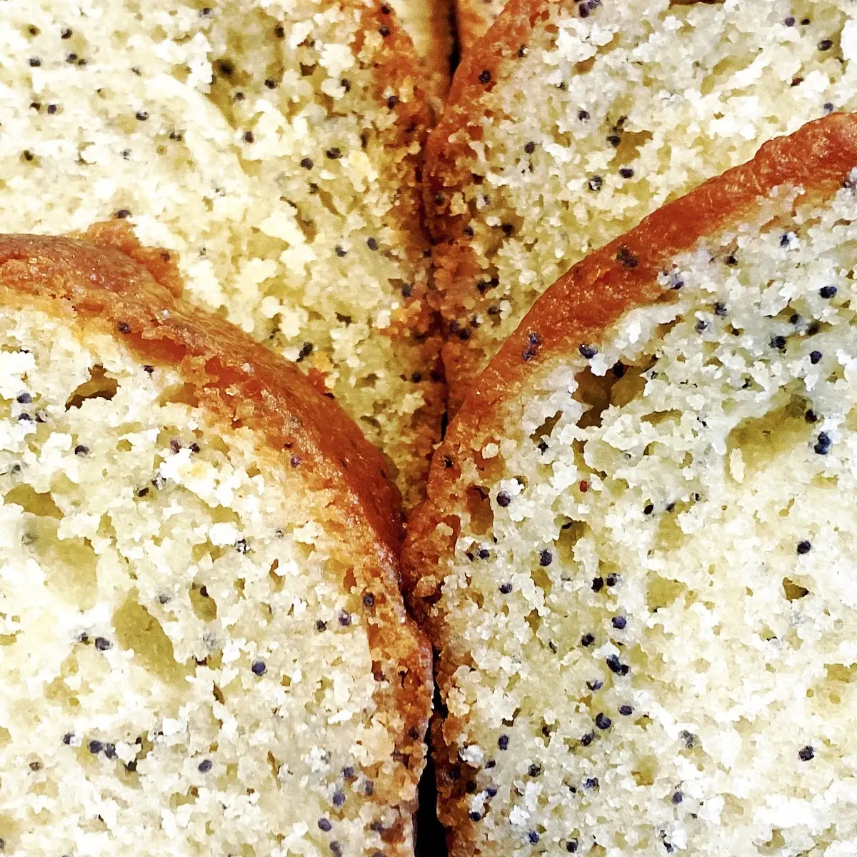 Poppy Seed