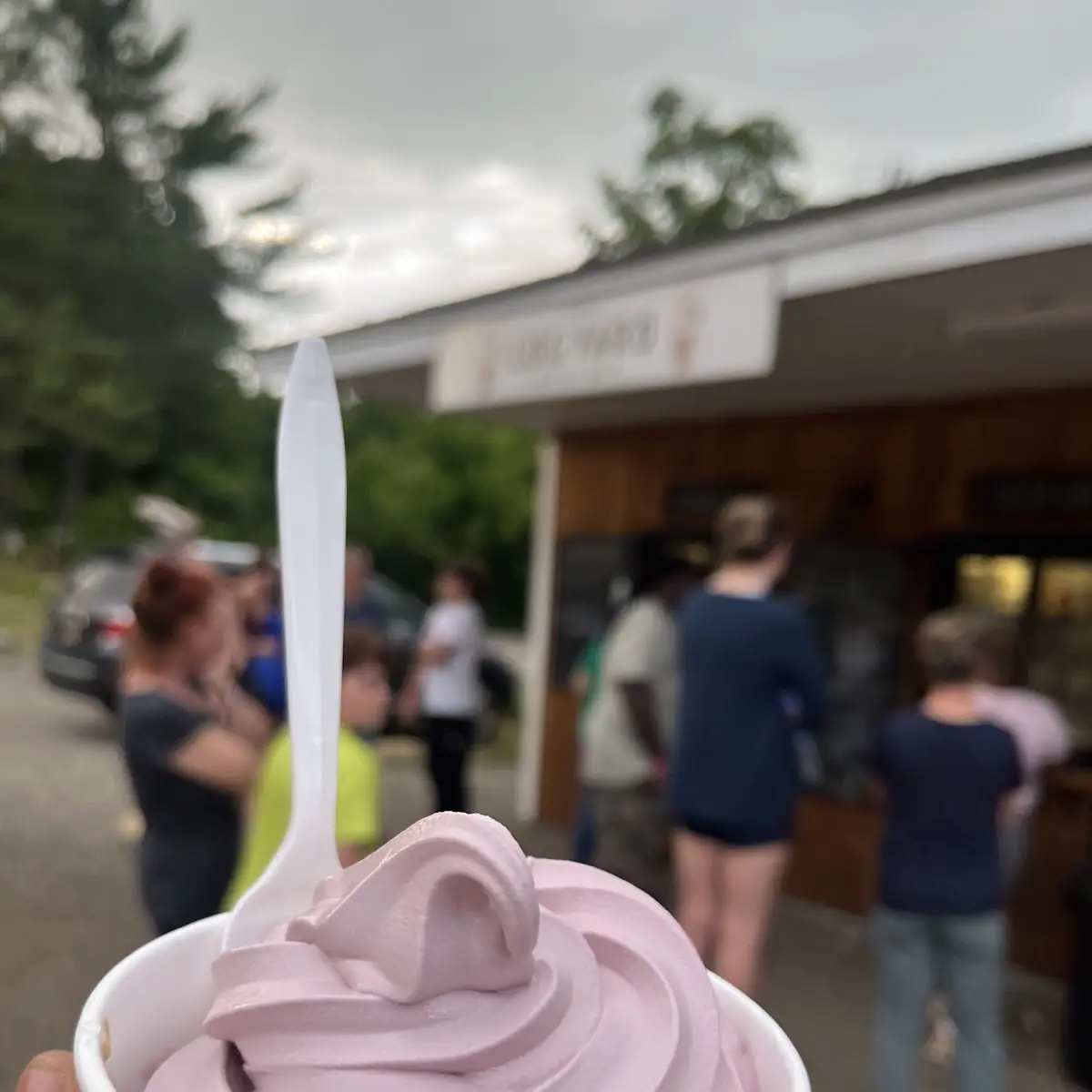 Frozen Yogurt