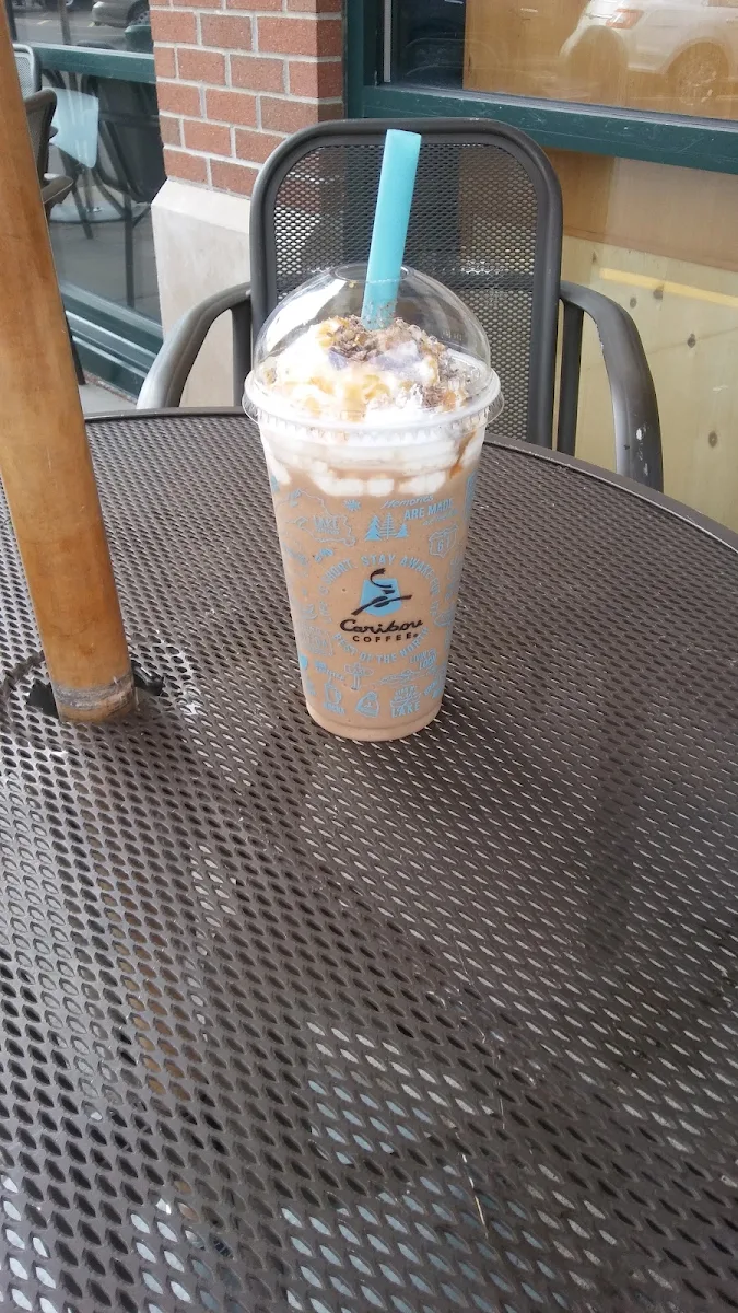 Large Turtle Cooler w Milk Chocolate