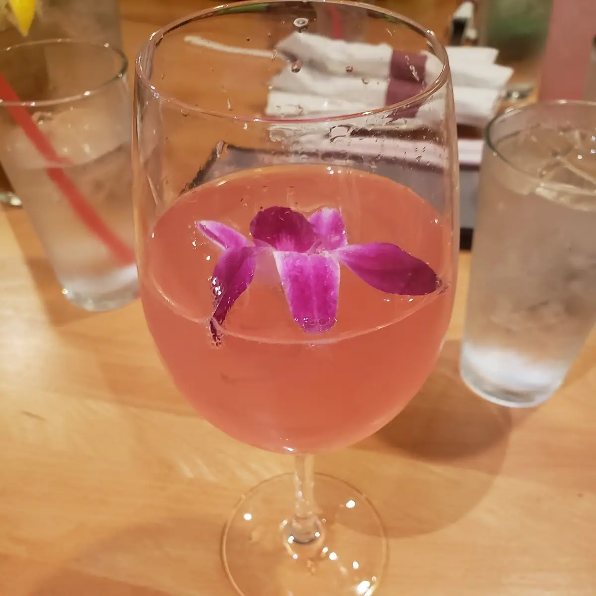 Prickly Pear Mimosa