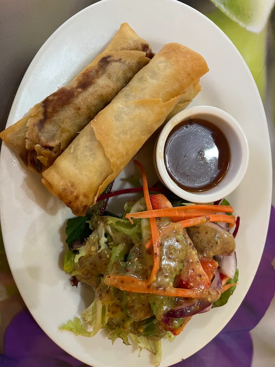Duck Spring Rolls X 3 with Salad