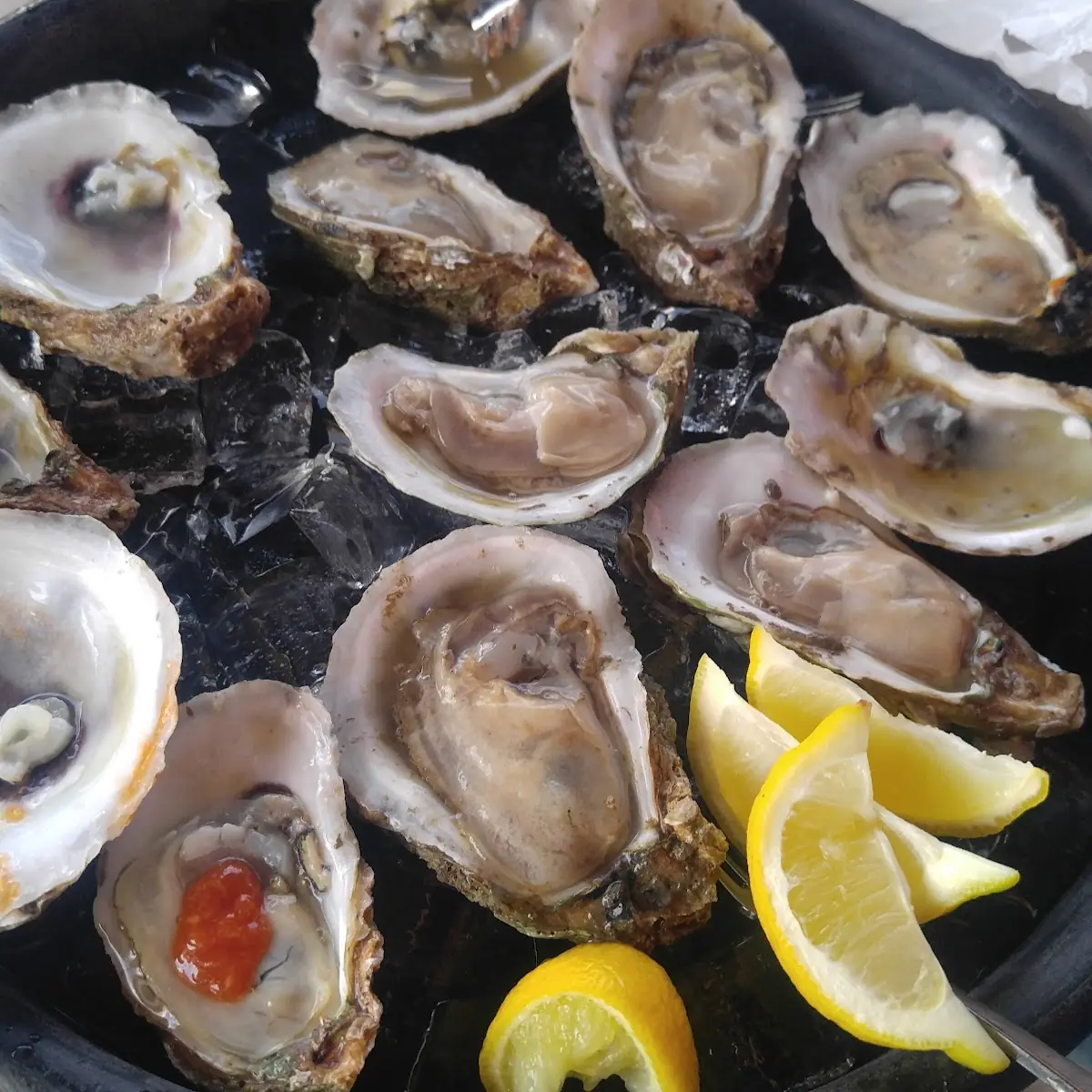 Raw Oysters on the Half Shell