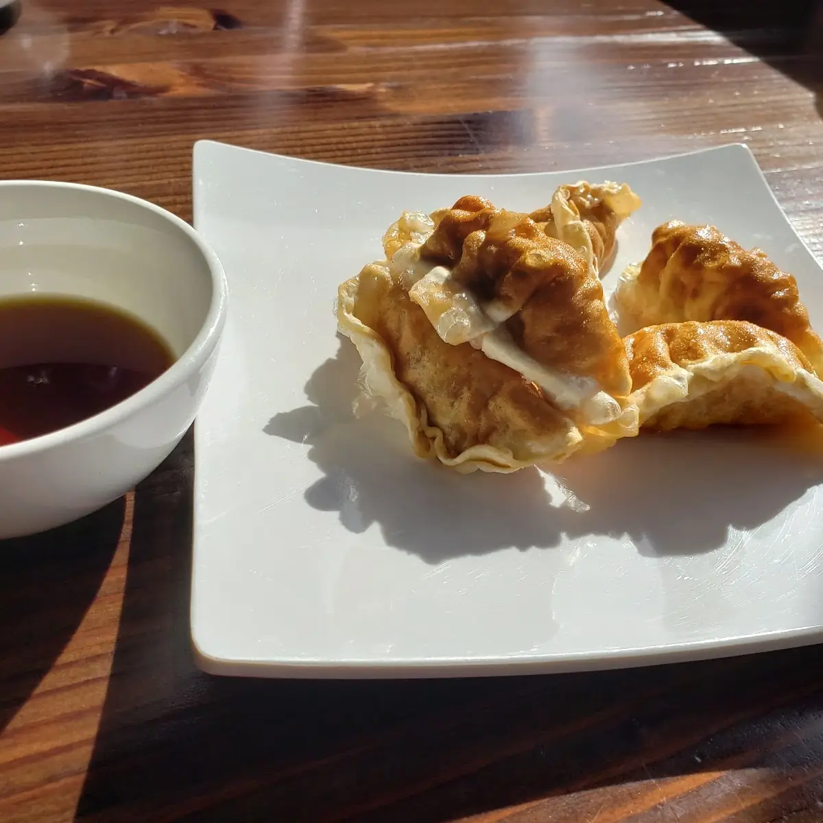 Chicken Teriyaki Dumplings