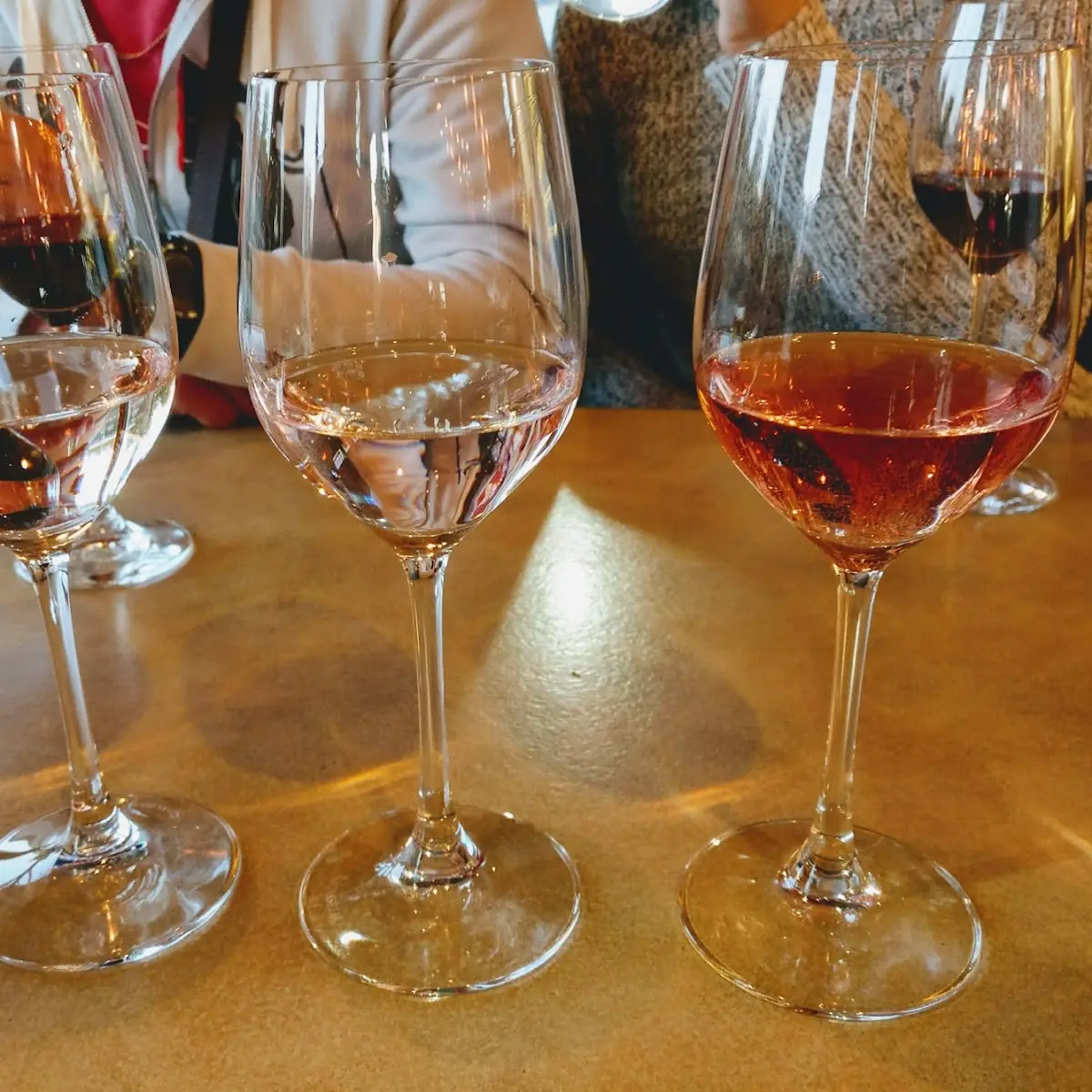 Wine Tasting