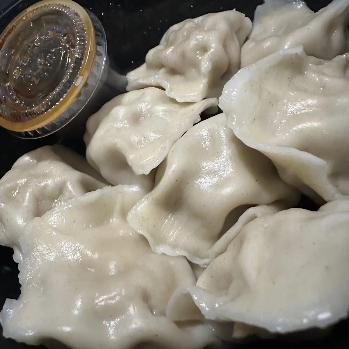 Pan Fried Pork Dumplings