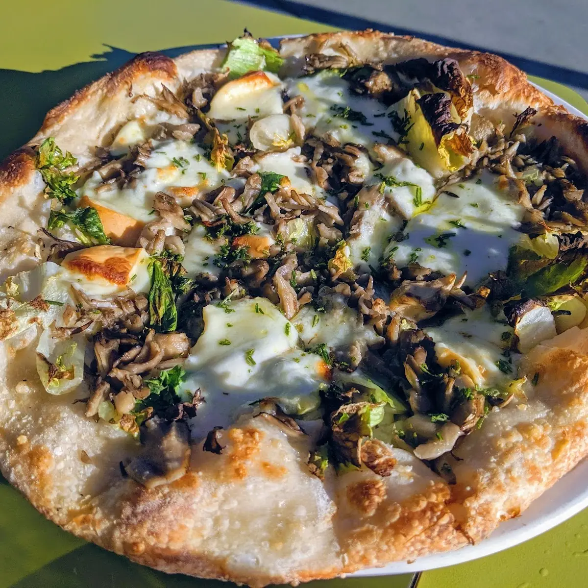 Mushroom Pizza
