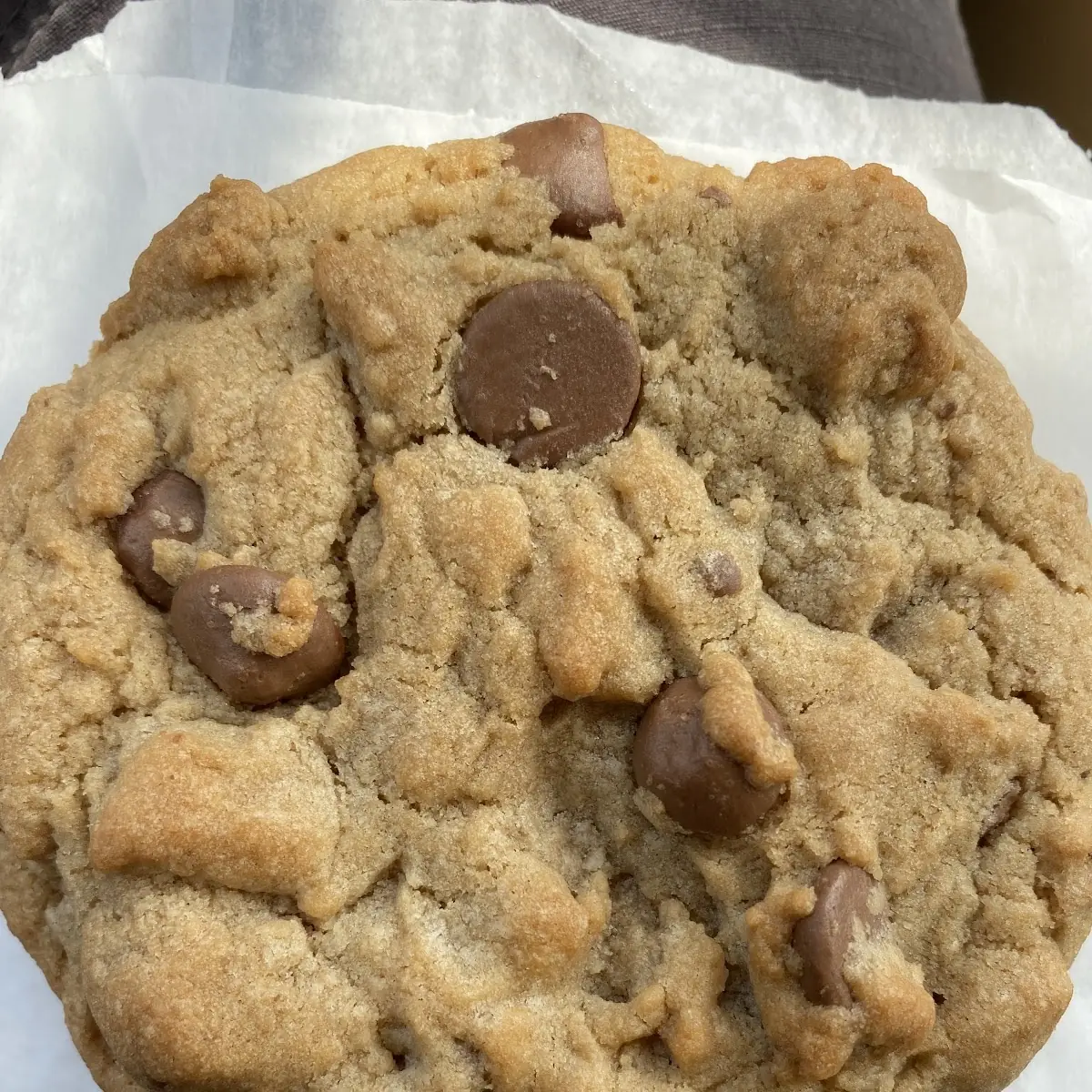 Classic Chocolate Chip Cookie