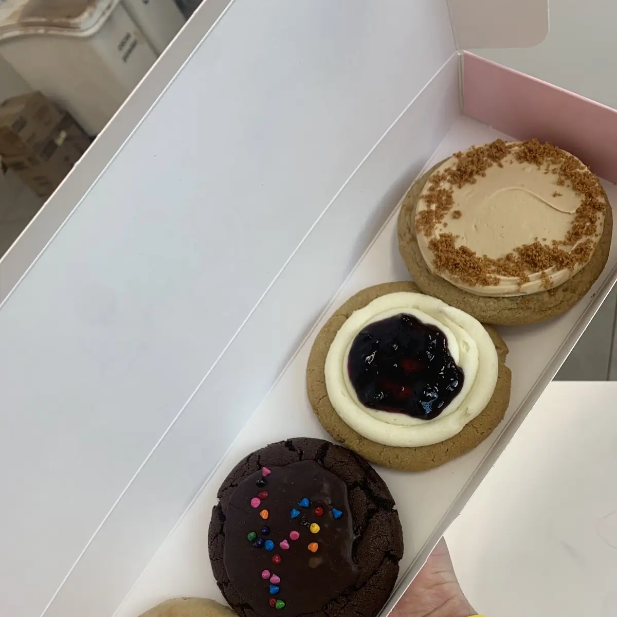 Doughnut